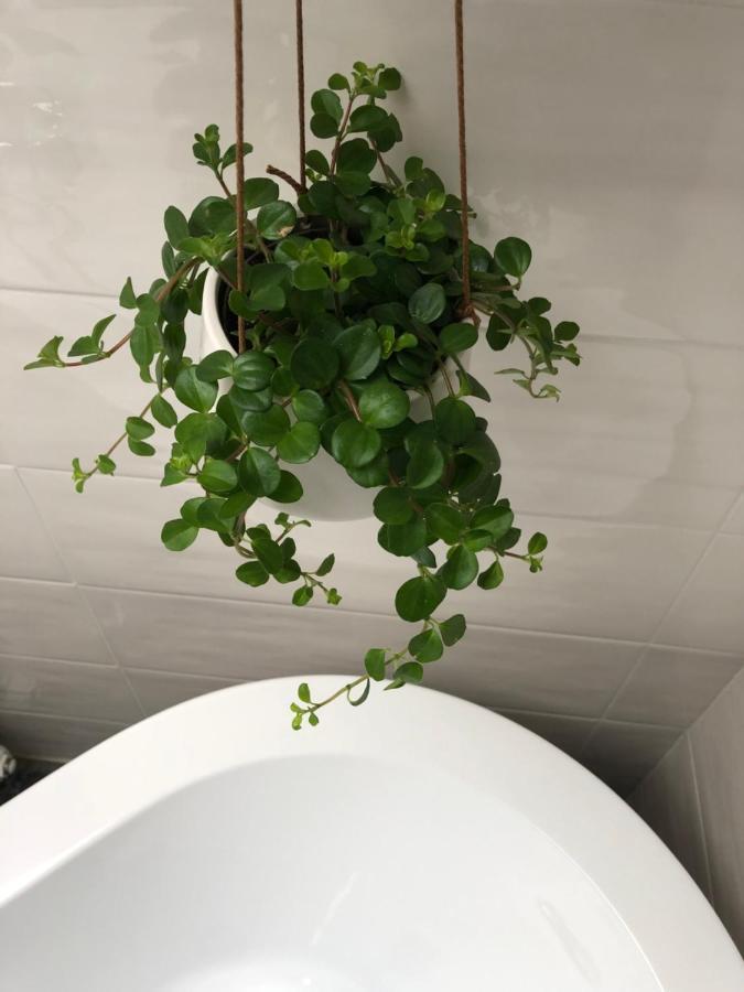 Gattaglio 22 Guest House Reggio Emilia Dış mekan fotoğraf
